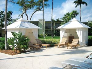 parasols