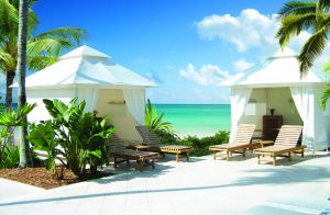 parasols